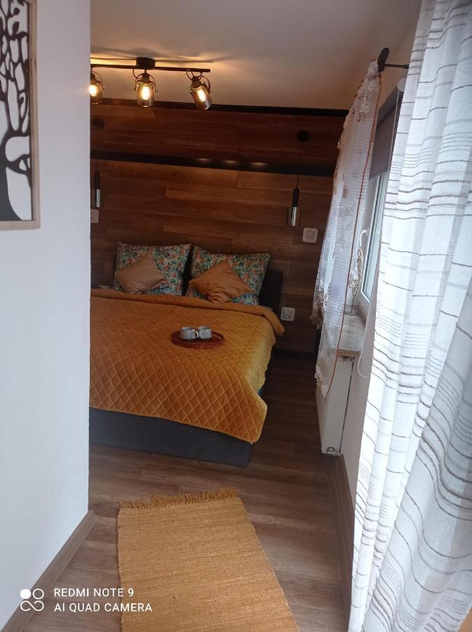 Apartamenty Sowianka Ludwikowice Kłodzkie Exterior photo